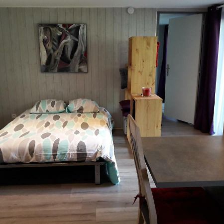 Les Massonnat Appartamento Aix-les-Bains Esterno foto